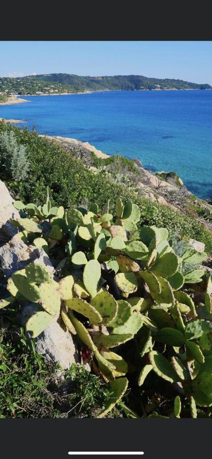 La Dolce Vita Mazet A Gassin Golfe De Saint Tropez Exteriér fotografie