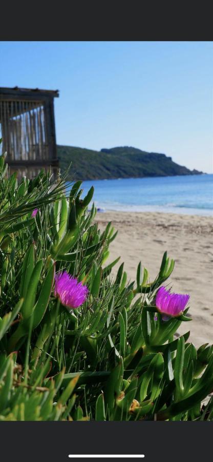 La Dolce Vita Mazet A Gassin Golfe De Saint Tropez Exteriér fotografie